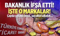 Bakanlık ifşa etti!