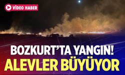 Bozkurt'ta Korkutan Yangın!