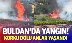 Buldan’da makilik alanda yangın çıktı