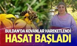 Buldan'da polen hasadı başladı