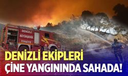 Denizli ekipleri Çine yangınında sahada!