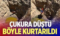 Çukura düşen keçi böyle kurtarıldı