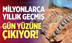 Denizli’de Milyonlarca Yıllık Geçmiş Gün Yüzüne Çıkıyor
