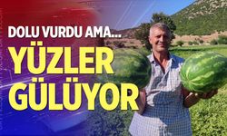 Denizli’nin lezzet simgesi Dodurga Karpuzu tezgâhlara indi