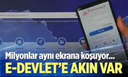 e-Devlet'e akın var!