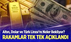 Altın, Dolar ve Türk Lirası’nı Neler Bekliyor?