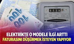 Elektrikte o modele ilgi arttı