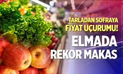 Tarladan sofraya fiyat uçurumu! Elmada rekor makas