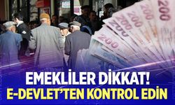 Zamlı maaşlar e-Devlet'e yansımaya başladı