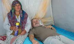 Felçli eşinin rahat etmesi için başında sinek nöbeti tutuyor