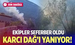 Karcı Dağ'ı yanıyor!