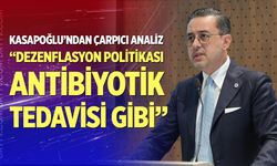 Kasapoğlu: "Dezenflasyon politikası antibiyotik tedavisi gibi"