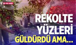 Honaz’da kiraz üreticisinin gözü yaşlı… İşte sebebi