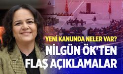 Yeni kanunda neler var? Nilgün Ök'ten flaş açıklamalar