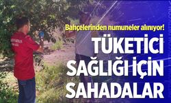 Denizli'de meyve bahçelerine sıkı markaj