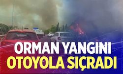 Manisa'da orman yangınında alevler İzmir-İstanbul Otoyolu'na ulaştı