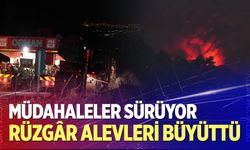 Denizli'deki orman yangını gece saatlerinde rüzgarın etkisiyle tekrardan etkili oldu