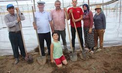 Seralarda solarizasyon dönemi başladı