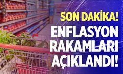 Son Dakika! Haziran ayı enflasyon rakamları açıklandı
