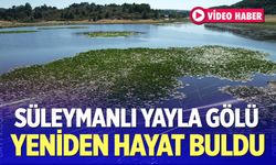 Süleymanlı Yayla Gölü Yeniden Hayat Buldu