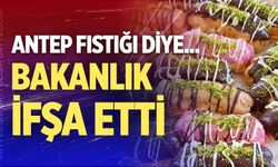 Denizli'de de şubesi vardı; Antep fıstığı yerine bakın ne kullanmışlar