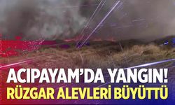 Rüzgar Alevleri Büyüttü: Ekipler Seferber Oldu