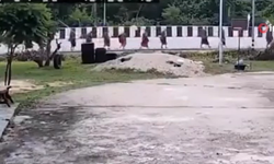 Tayland'da feci kaza! 8 kişi hayatını kaybetti