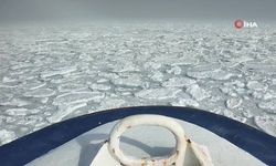Türk bilim insanları dünyanın en kuzeyindeki deniz buzu hattında