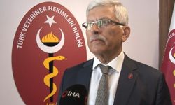 "Zoonotik hastalıklarla mücadelede en etkili yol ‘Tek Sağlık’ uygulamasıdır"