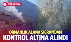 Korkutan yangın kontrol altına alındı
