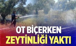 Ot biçerken zeytinliği yaktı