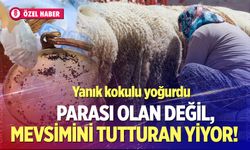 Yanık kokulu Denizli yoğurdunu paranız olsa da alamayabilirsiniz! İşte nedeni…