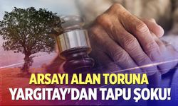 Arsayı alınca dedesine bakmayı bıraktı, Yargıtay şoku yaşattı