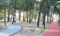 Yenişehir'de 7 Bin 670 Metrekarelik Park Yenilendi