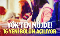 Yükseköğretimde 16 yeni program açılıyor