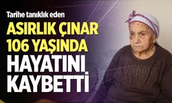 Asırlık çınar 106 yaşında hayatını kaybetti