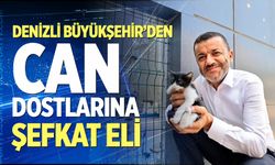 Denizli Büyükşehir’den can dostlarına şefkat eli