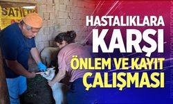 Hastalıklara karşı önlem ve kayıt çalışması
