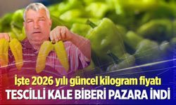 Denizli’de Tescilli Kale Biberi pazara indi