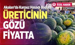 Akalan’da karpuz hasadı başladı: Üreticinin gözü fiyatta
