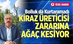 Bolluk da Kurtaramadı: Kiraz üreticisi zararına ağaç kesiyor
