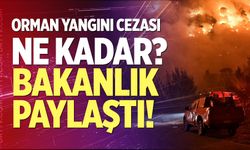 Orman yangını cezası ne kadar? Bakanlık Paylaştı!