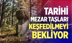 Tarihi mezar taşları keşfedilmeyi bekliyor