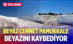 Beyaz Cennet Pamukkale Beyazını Kaybediyor