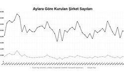 2026’nın ilk 7 ayında kurulan şirket sayısı yüzde 7,4 arttı