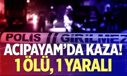 Otomobil Ters Döndü, Sürücü Hayatını Kaybetti!