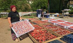Aydın’dan dünyaya yayılan lezzet: İncir Cipsi