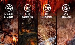 Bakan Yumaklı: "Orman yangınları açışından kritik 3 gün"