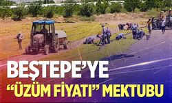 Üzüm üreticilerinin sorunlarını Cumhurbaşkanlığına aktarıldı