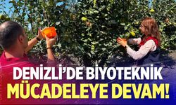 Zararlılara Karşı Tuzaklı Mücadele!